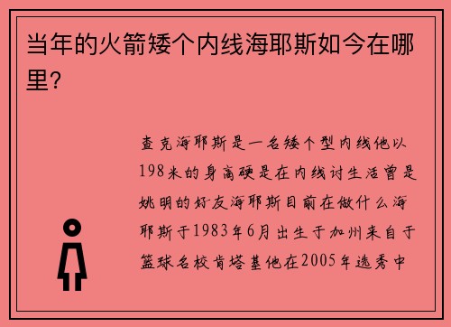 当年的火箭矮个内线海耶斯如今在哪里？